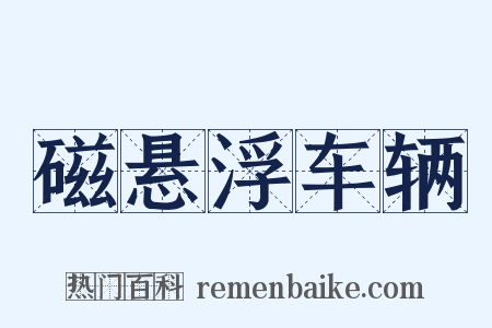 磁悬浮车辆是什么意思的图片